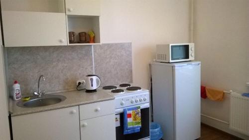 Apartment Fadeeva 425 - image 4