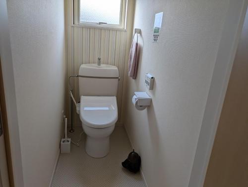 Hana Hostel Fujisan Apartment