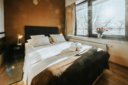 VisitZakopane - Cristal Apartment, Zakopane (fotografie 9)