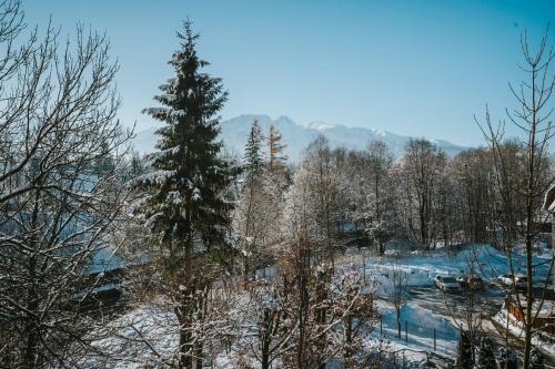 VisitZakopane - Cristal Apartment, Zakopane (fotografie 6)