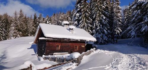 Reh's Wiesen Hütte