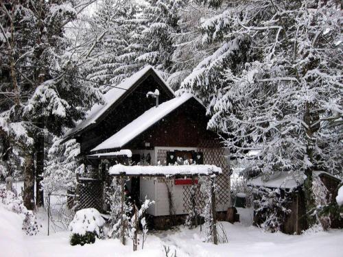 Romantik Hütte (Romantik Hutte) in Patergassen