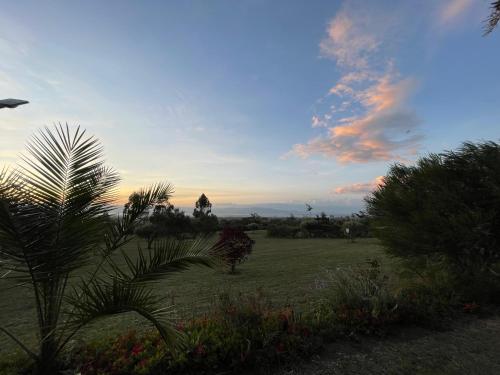 Garden, Couple's Wood Cabin in Naivasha - Elwai Visitor Centre in Naivasha