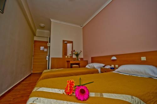 Adonis City Hotel - image 10