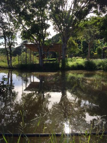 Sítio Família Silva (Sitio Familia Silva) in Bom Jesus Do Amparo