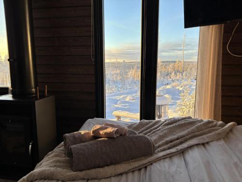 Mystical Lapland Suites in Ylikyla