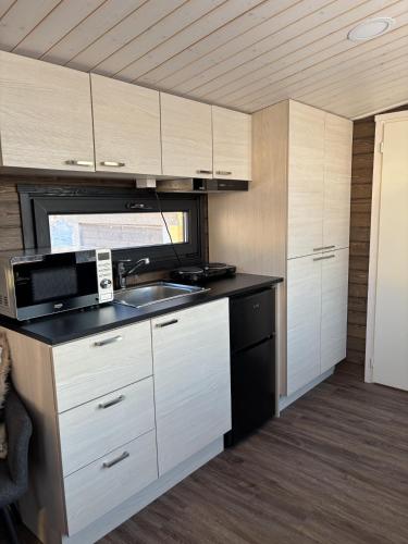 Mystical Lapland Suites in Ylikyla