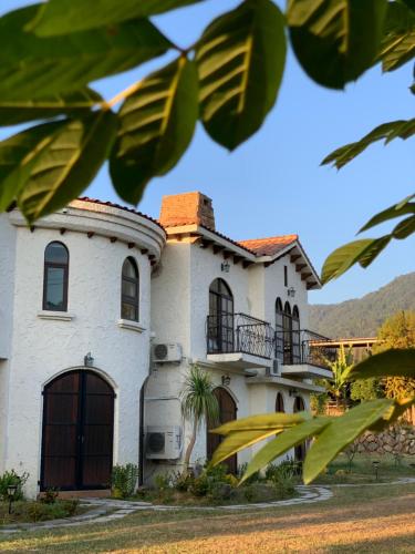 Villa San Diego — other in No.200-1, Fuxing Road, Puli Taiwan, 545