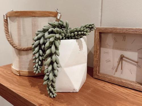 Wild Olive 65 Farmhouse Style - image 2