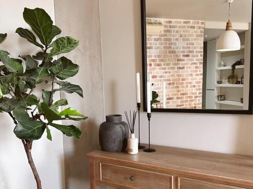 Wild Olive 65 Farmhouse Style - image 5