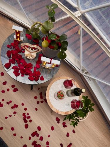 Epífita, Bosque Nuboso Glamping Monteverde (Epifita, Bosque Nuboso Glamping Monteverde) in 蒙特韋德