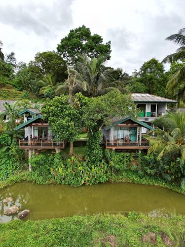 . Rainforest Nest