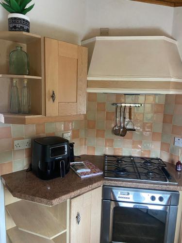 Kingfisher Cosy Lakeside Lodge in 康福斯蘭開夏