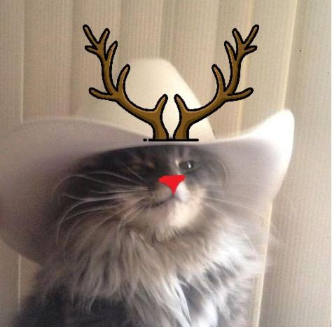 TRYP by Wyndham Dubai