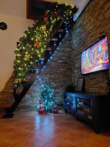 Apartman Šapat bora, Divčibare