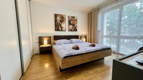 . Black Lotus 1 I Downtown Apartment I Free Parking I 24hr Access