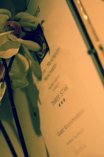 Stay Inn Manchester - image 6