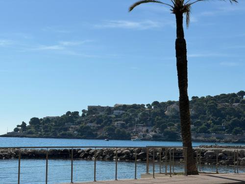 Alex Studio - Parking - 2 minutes de la plage - Terrasse Plein Soleil et Sud – khách sạn tại Roquebrune-Cap-Martin