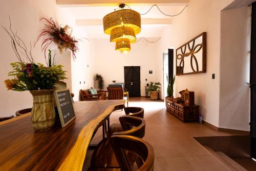 Casa Sofi Oaxaca - Oaxaca