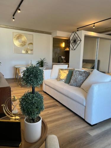 Fully equipped loft in Downtown Tijuana