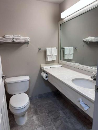Ocean Parradise Hotel and Resort Room Type - Deluxe King Room