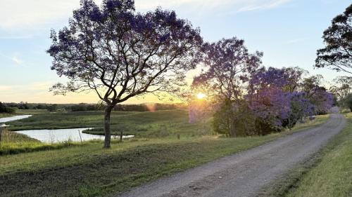 Kilátás, Kalimna Homestead, Historic Stays, Hunter Valley in Paterson