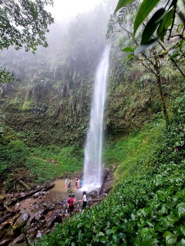 Mindo Loma Bird Lodge in Tandayapa