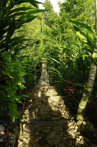 Mountain Shadows, Devikolam (Foto 10)