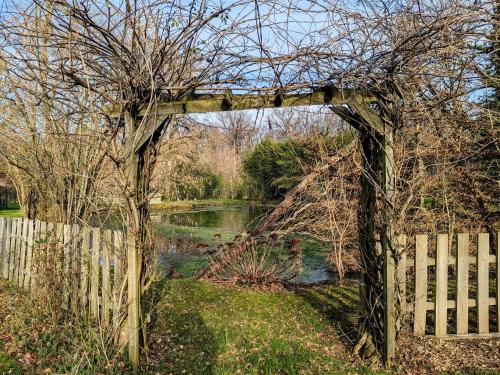 Charmant hébergement avec parc et étang à Mers-sur-Indre - FR-1-591-771 (Charmant hebergement avec parc et etang a Mers-sur-Indre - FR-1-591-771) in Mers-sur-Indre