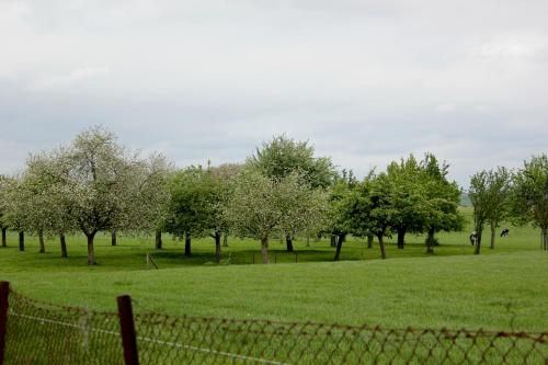 Hotel Brull - image 12