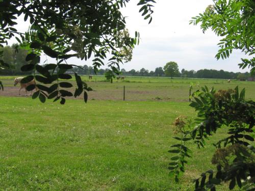  De Zandkant in Biezenmortel