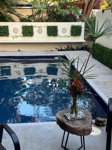 Casa Zen in Potrero