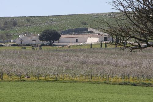 Masseria Torre Di Nebbia