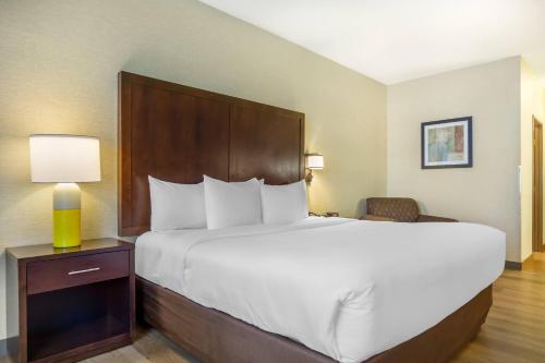 1 king bed