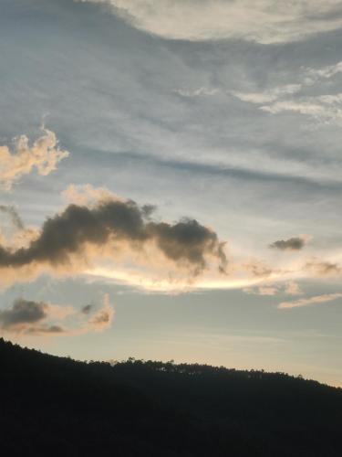 전망, Bloom Nest Almora Kasar Devi in 알모라