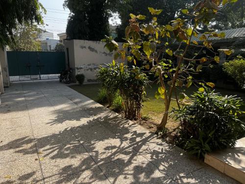Shah chiragh villa - main image