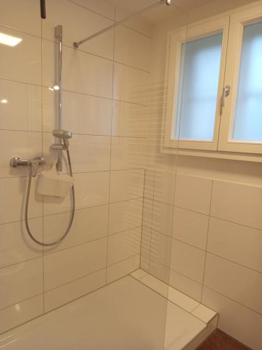 Rew apartment in Niederstotzingen