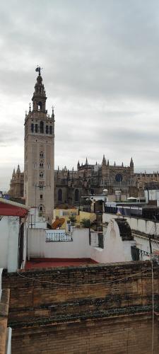 Hostly Placentines Catedral - image 3
