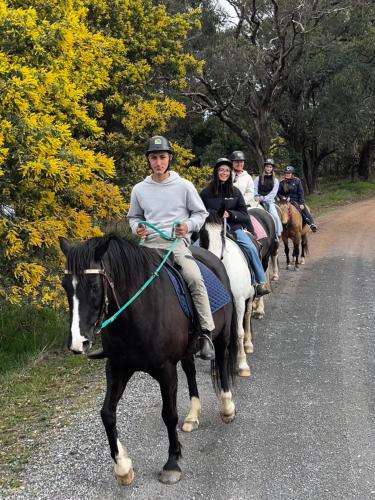 High country trail rides & farmstay in Oberon