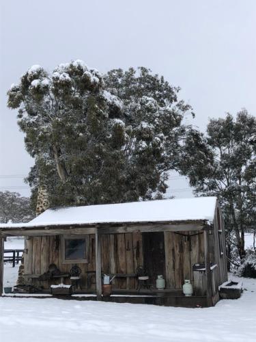 High country trail rides & farmstay in Oberon