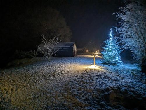 Odli Glamping - Aderyn in Meifod