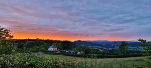 Odli Glamping - Aderyn in Meifod