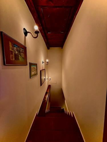 Létesítmények, Il nido del verde coniglio - Tamerò Estates (Il nido del verde coniglio - Tamero Estates) in Stimigliano
