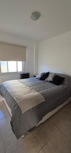 Departamento, Barrio Güemes, MDQ