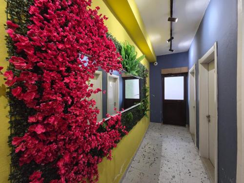 VILLA CABARE Apartments&Rooms – khách sạn tại Arapaj