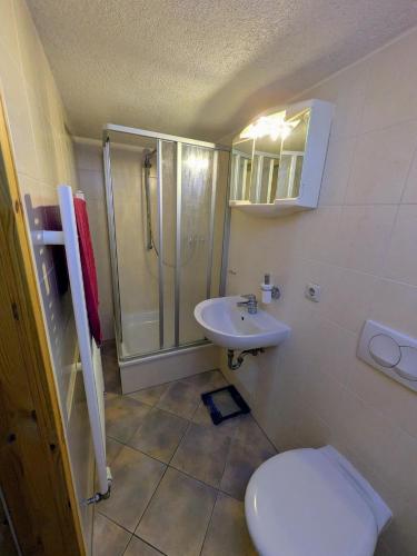 Baño, Ferienwohnung, Tiny House, Weißeritztäler, Wandern & Radfahren (Ferienwohnung, Tiny House, Weißeritztaler, Wandern & Radfahren) in Klingenberg