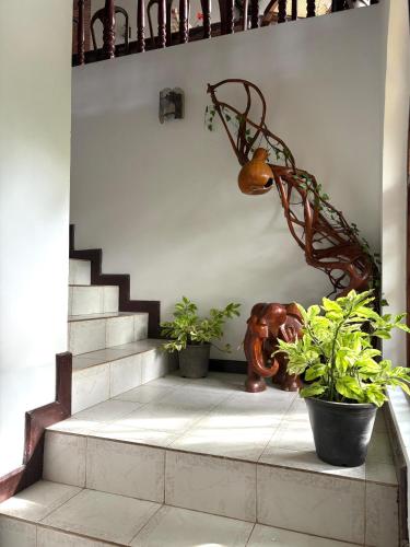 Tampilan eksterior, Chaya Villa Guest House in Beruwala