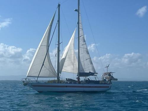 . Cabin on Sailing boat cruise Roatan-Cayo Cochino