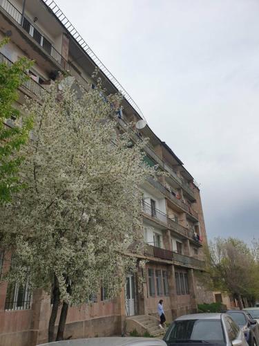 Уютная светлая квартира для двоих in Hrazdan
