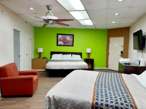 2 king beds, 2 sofa beds